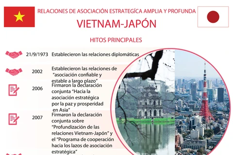Relaciones de asociación estrategíca amplia y profunda Vietnam-Japón