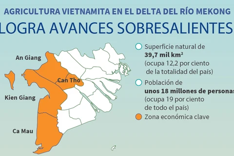 Agricultura vietnamita en el delta del río Mekong logra avances sobresalientes