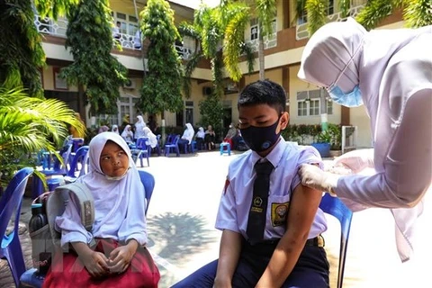 Indonesia aprueba vacuna casera contra el COVID-19