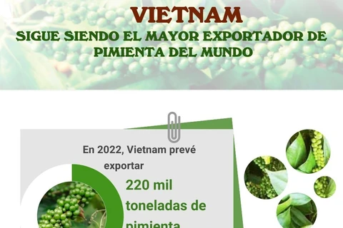 Vietnam sigue siendo el mayor exportador de pimienta del mundo