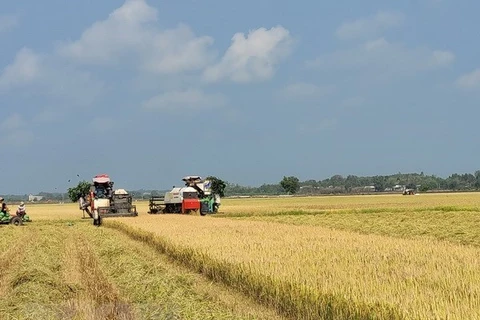 Agricultura suscita apoyo de Banco Estatal de Vietnam 