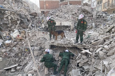 Fuerzas de rescate de Vietnam responden rápidamente a terremoto de Turquía 