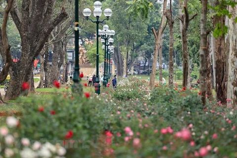 Hanoi presta atención a parques en la ciudad