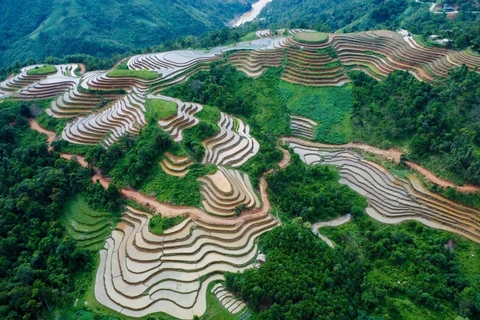 Terrazas de arroz llenas de agua en provincia montañosa de Vietnam