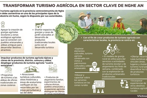 Transformar turismo agrícola en sector clave de Nghe An