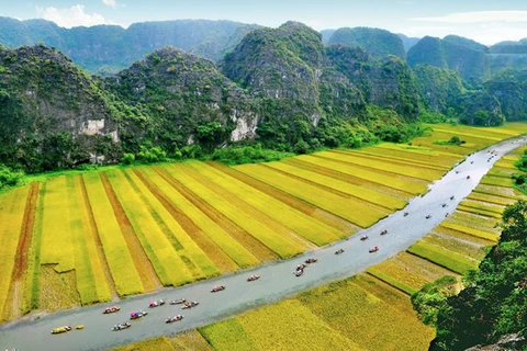 Google Arts & Culture destaca complejo paisajístico Trang An de Vietnam