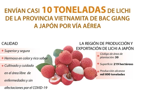 Envían casi 10 toneladas de lichi vietnamita a Japón por vía aérea