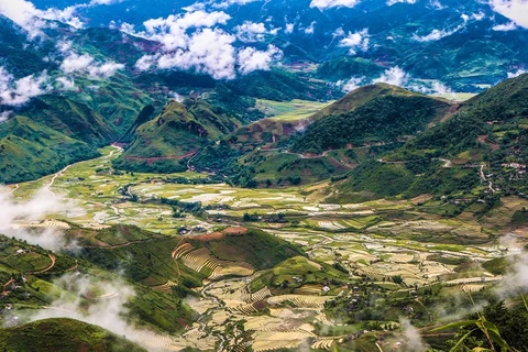 Hermosa vista desde cima del paso de montaña de Khau Pha en Vietnam