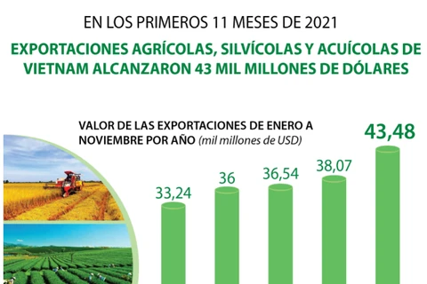 Exportaciones agro-silvícolas y acuícolas de Vietnam aumentan de enero a noviembre