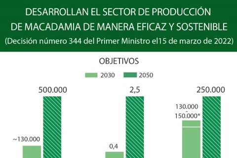 Desarrollan el sector de producción de macadamia de manera eficaz y sostenible