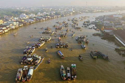 Promueven desarrollo económico en el delta del Mekong en Vietnam