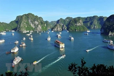 Búsquedas internacionales sobre el turismo vietnamita aumentan notablemente