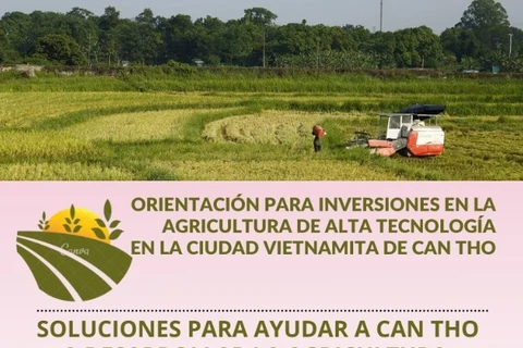 Orientación para inversiones en la agricultura de alta tecnología en localidad vietnamita