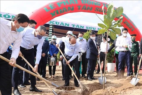 Vietnam se fija la meta de plantar mil millones de árboles