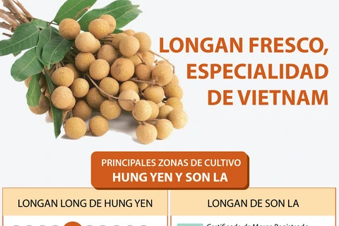 Longan fresco, especialidad de Vietnam