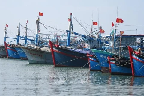Vietnam determina a poner fin a la pesca ilegal al final de 2021
