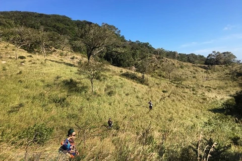 Ecosistema único de bosque seco en la Reserva de biosfera Nui Chua