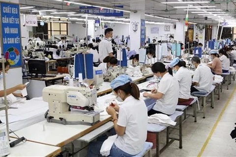 Mercado laboral de Ciudad Ho Chi Minh establece base sostenible en adaptación al COVID-19