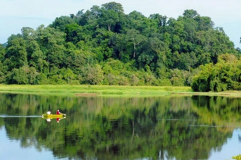 Isla vietnamita de Phu Quoc establece plan para protección forestal sostenible