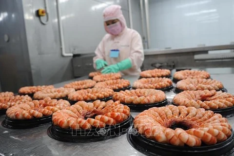 Fortalecen la competitividad del camarón vietnamita