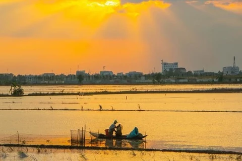 Despierta la motivación del desarrollo económico en Delta del Mekong