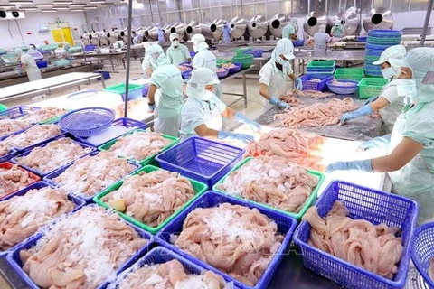 Exportaciones de mariscos de Vietnam en segundo trimestre pueden lograr récord de tres mil millones de dólares 
