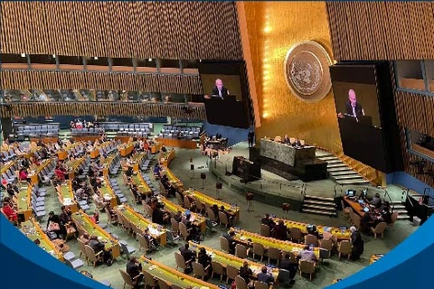 Vietnam elegido miembro del Consejo de Derechos Humanos de la ONU 