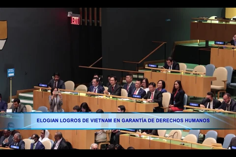 Elogian logros de Vietnam en garantía de derechos humanos 