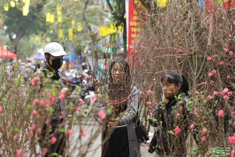 Inauguran mercado tradicional de flores del Tet en Hanoi 
