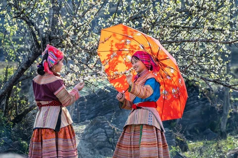 Fiesta tradicional del Tet de las minorías étnicas en Vietnam