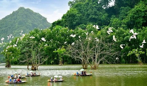 Vietnam trabaja para prevenir la degradación de la biodiversidad