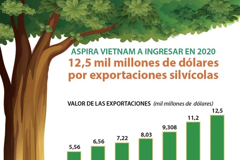 [Infografía] Aspira Vietnam a ingresar 12,5 mil millones de dólares por exportaciones silvícolas en 2020