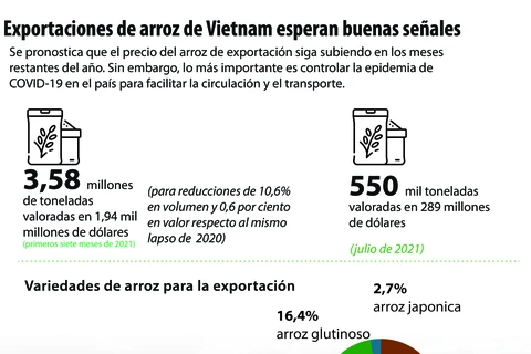 Exportaciones de arroz de Vietnam esperan buenas señales 