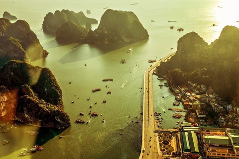  Tarde dorada en Bahía de Ha Long