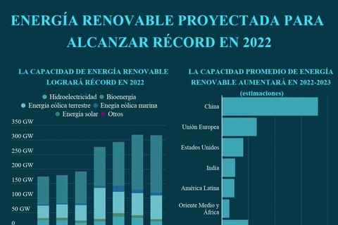 Energía renovable de Vietnam proyectada para alcanzar récord en 2022