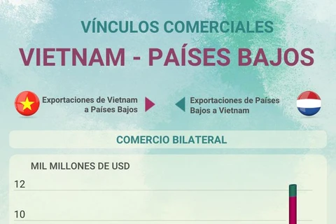 Vínculos comerciales Vietnam-Países Bajos 