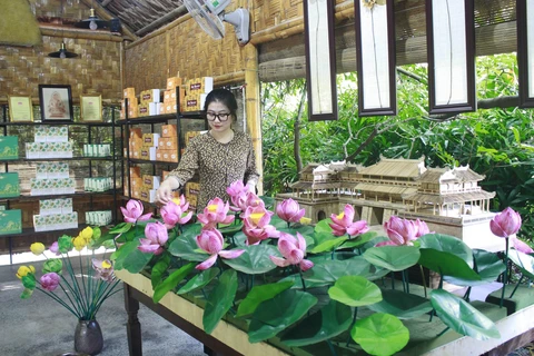 Empresa vietnamita presenta productos de flor de loto
