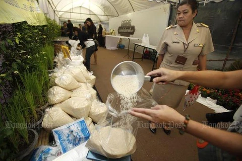 Aprueba gobierno tailandés programa de subvención del precio de arroz 