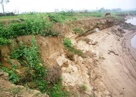 Khanh Hoa implementa medidas contra erosión costera