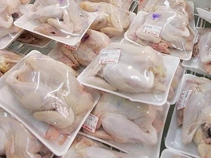 Vietnam exportará pechugas de pollo por primera vez al extranjero