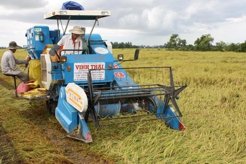 Establecen marcas comerciales para productos agrícolas de Vietnam