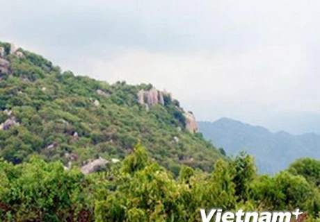 Promueven ecoturismo en provincia central de Ninh Thuan