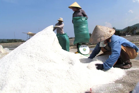 Vietnam se esfuerza por desarrollar industria salinera en Sa Huynh 