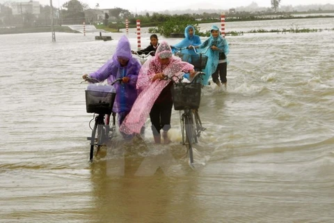 Ofrecen ayudas urgentes a hogares vietnamitas afectados por desastres naturales