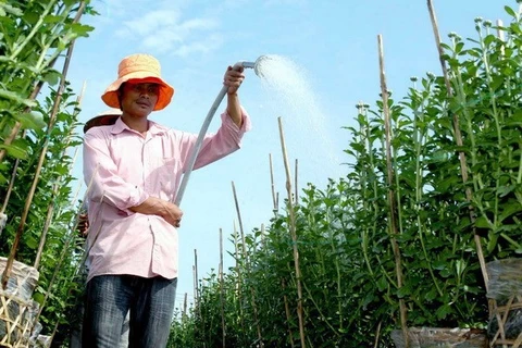 En Laos inauguran centro de servicios técnicos agrícolas con ayuda de Vietnam