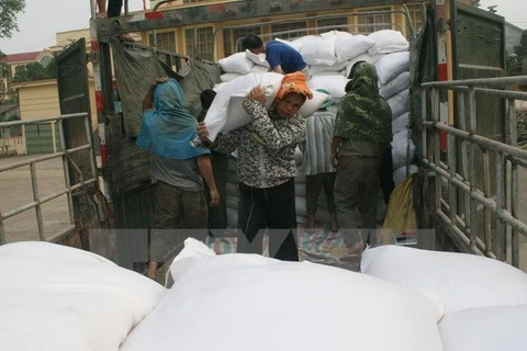 Asistencia urgente de dos mil toneladas de arroz a Binh Dinh 
