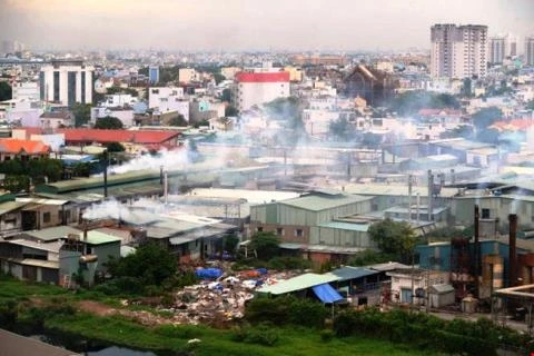 Ciudad Ho Chi Minh desplazará 10 mil plantas en zonas no planificadas