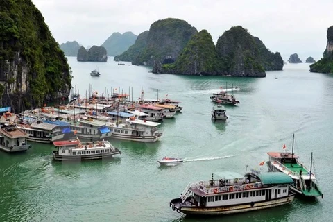 Sube número de visitantes extranjeros a provincia vietnamita de Quang Ninh 