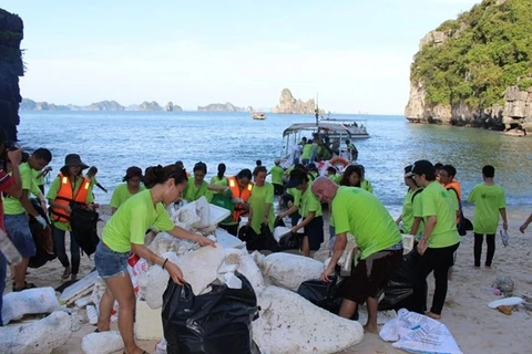 Impulsan protección y conservación ambiental en la Bahía de Ha Long