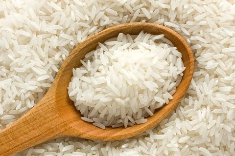 Malasia refuta el rumor de importaciones de arroz falso